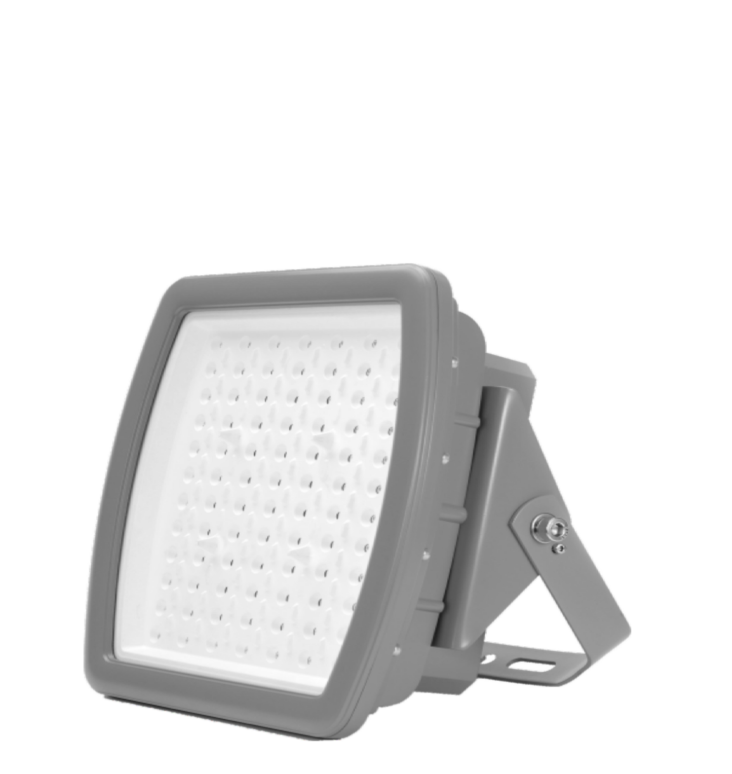 EXPLOSION PROOF Flood Light 100W